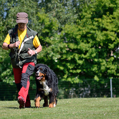 Mobile Hundeschule Doggy Camp