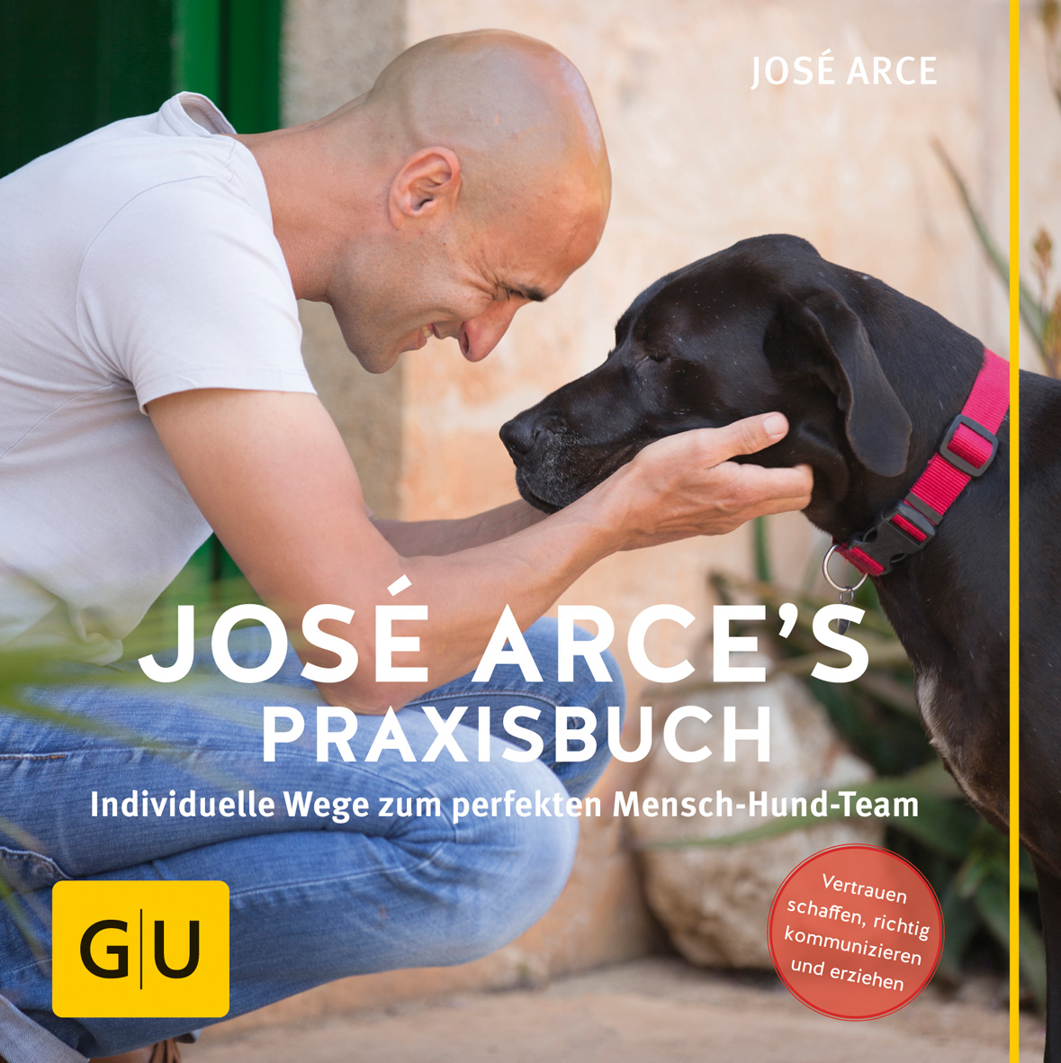 Jose Arce´s Praxisbuch