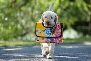 ERNL - Die Tasche für den Hund