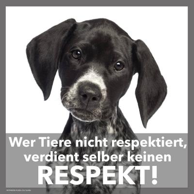 Tiere müssen respektiert werden!